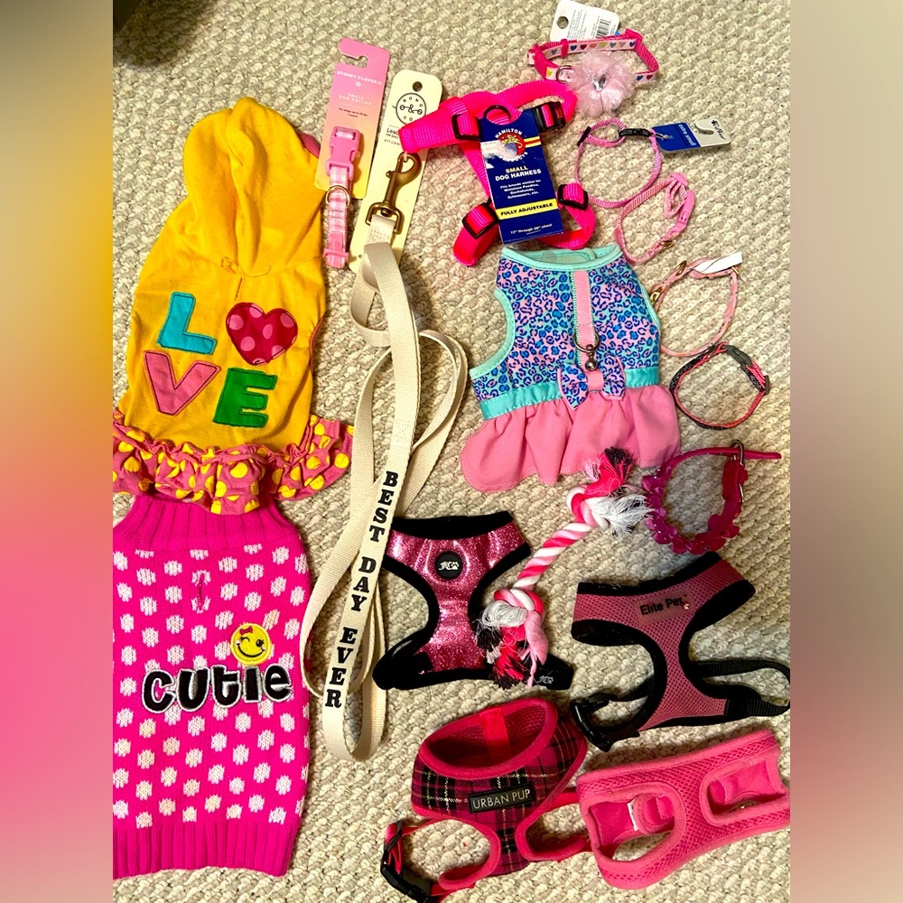 17pc XS/Small Breed  Puppy Clothing & Accessories Bundle Girl